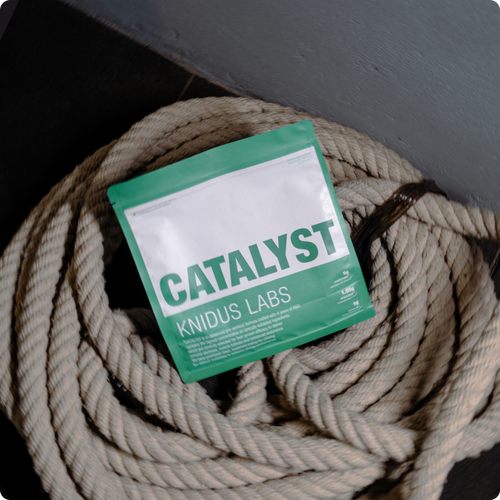 CATALYST
